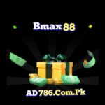 Bmax game