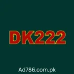 DK222 Game