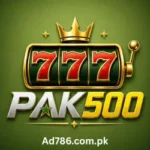 Pak500 Game