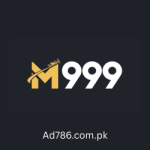 M999 Game